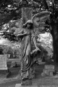 Brixton Cemetery
